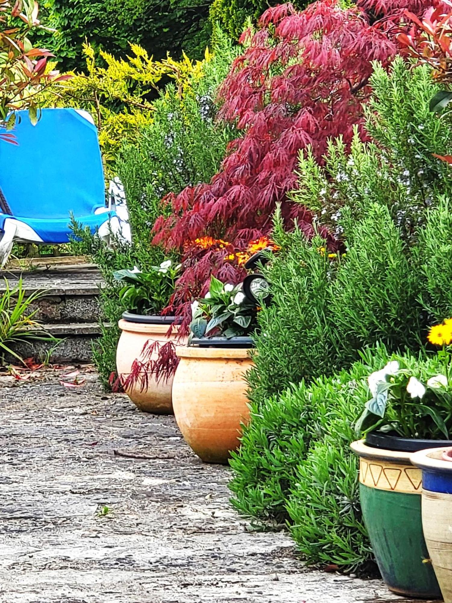 Escape The Ordinary - Piddle Inn The Home Private Self Cater Holiday Dorchester Extérieur photo